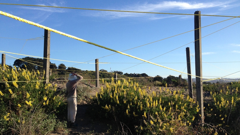 CIFRA - Ritoque, Chile — Kreider + O'Leary