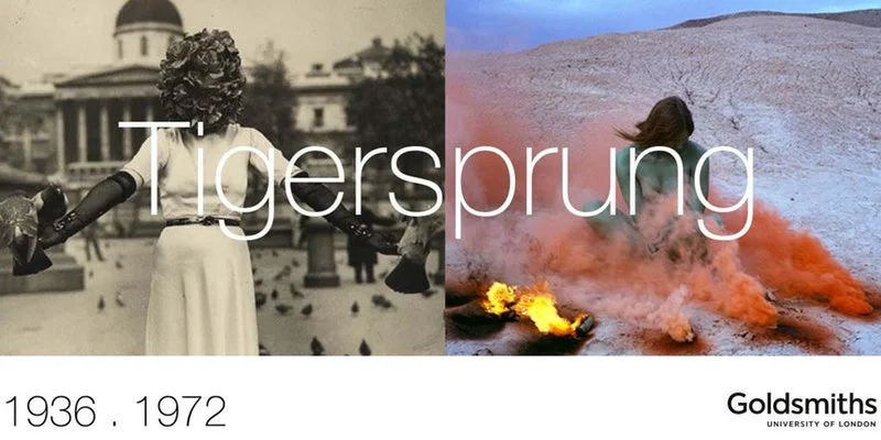 Tigersprung.jpg