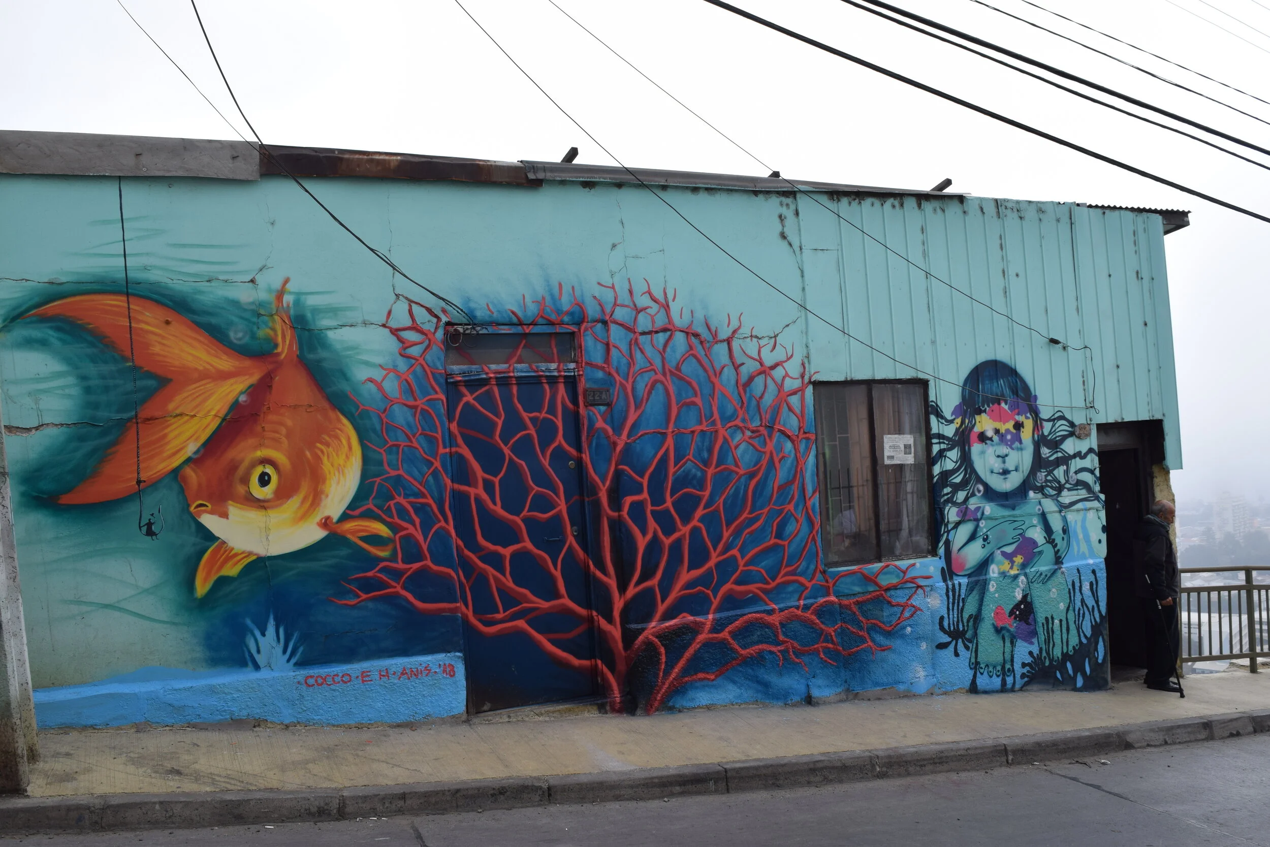 Under the water with Cocco and Anis