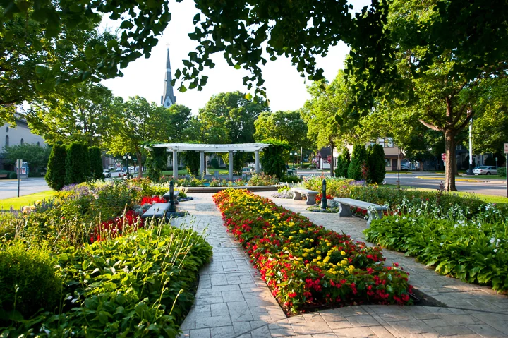 20110819-_CSA7159.jpg