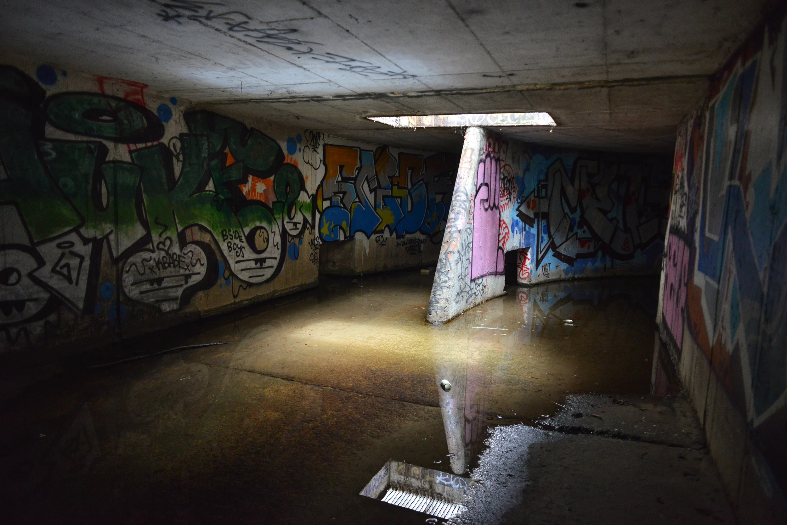 DSC_6161.jpg
