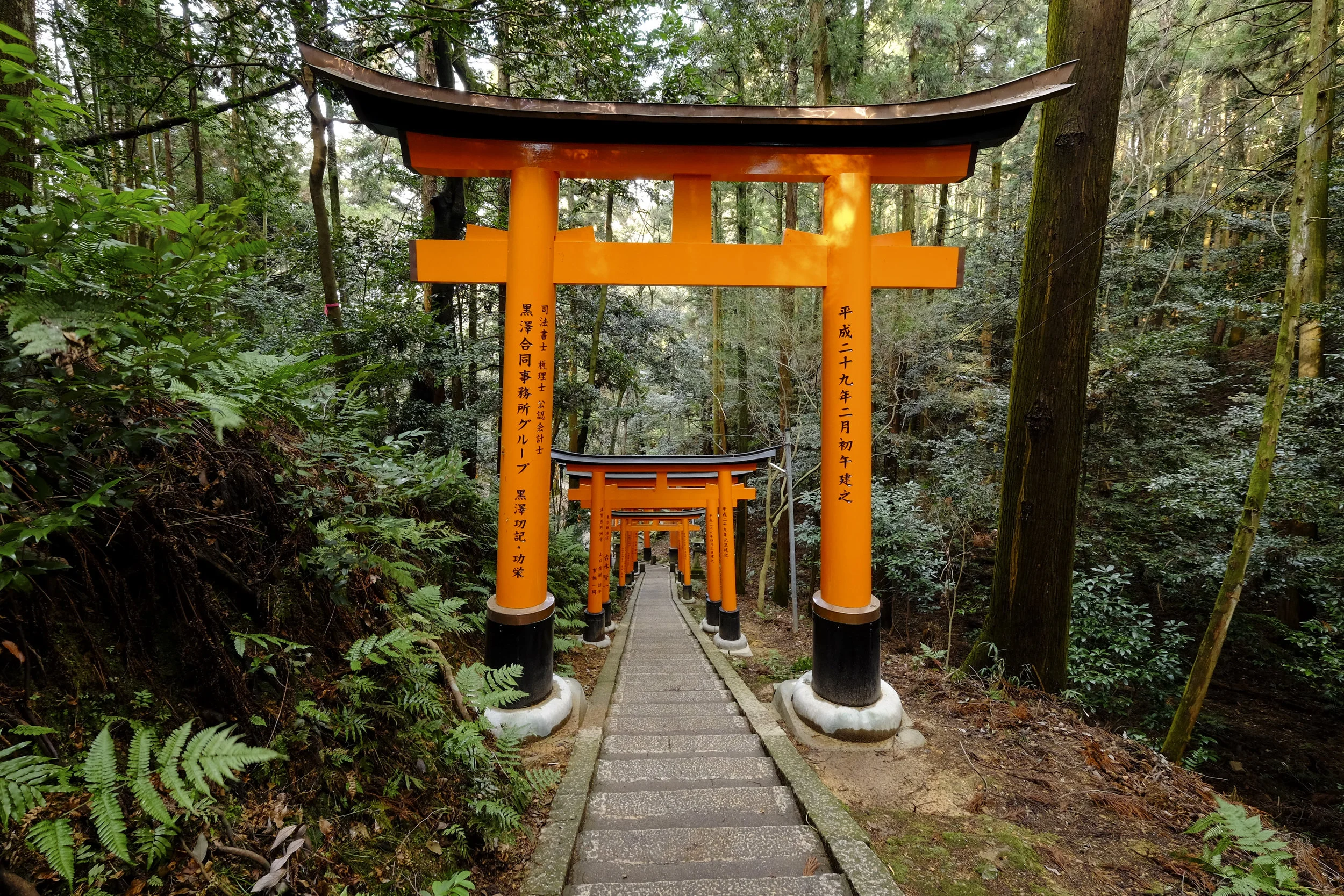 DSCF3906.jpg