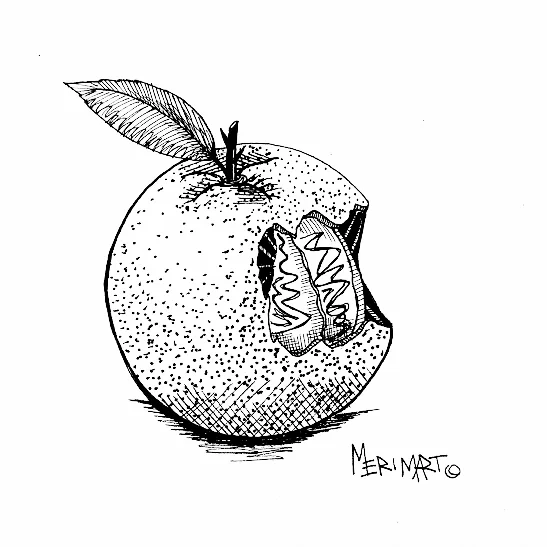 RightWrong