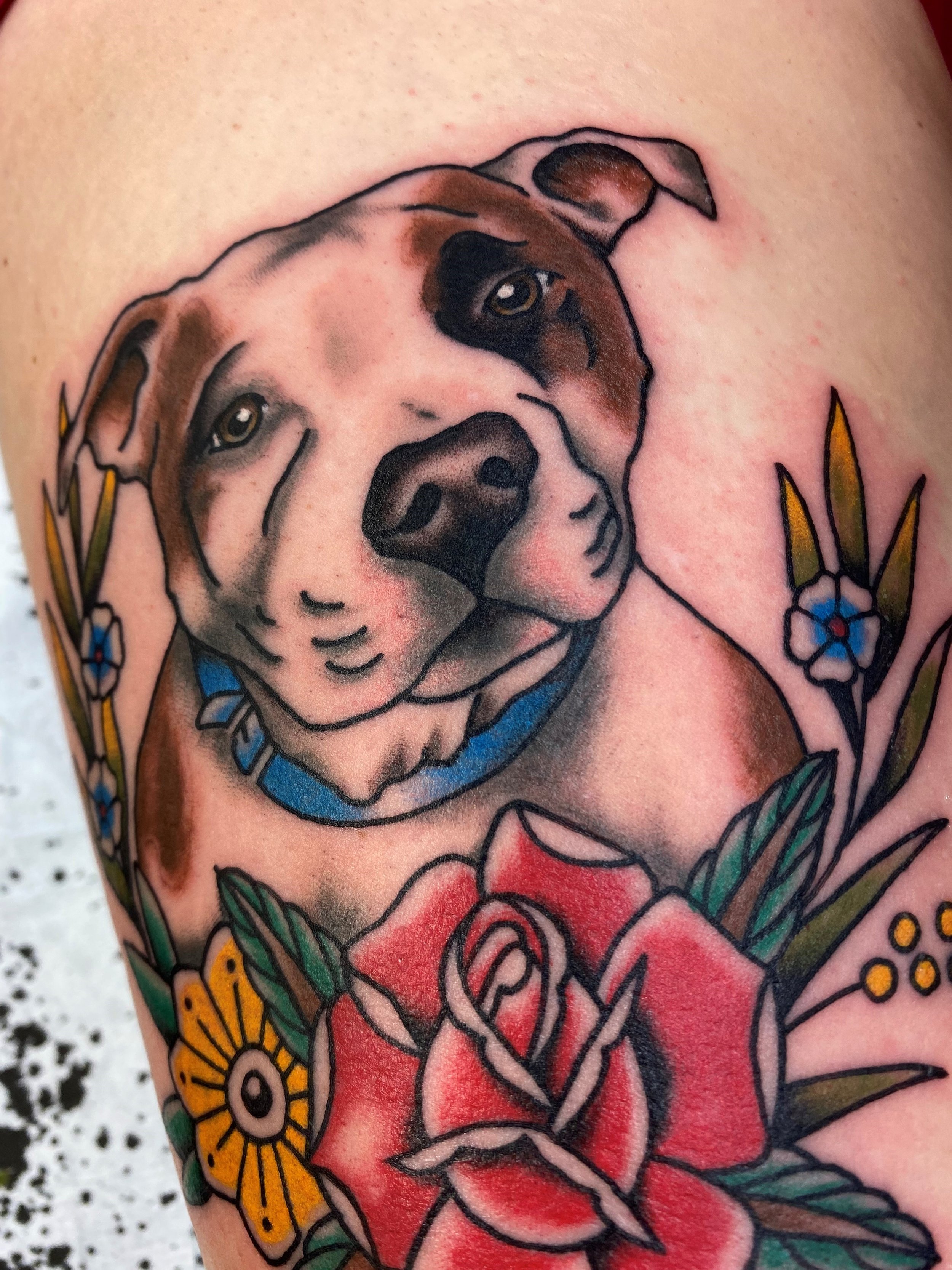 Pitbull portrait and flowers by Scott  Bully Breed Tattoo  Facebook