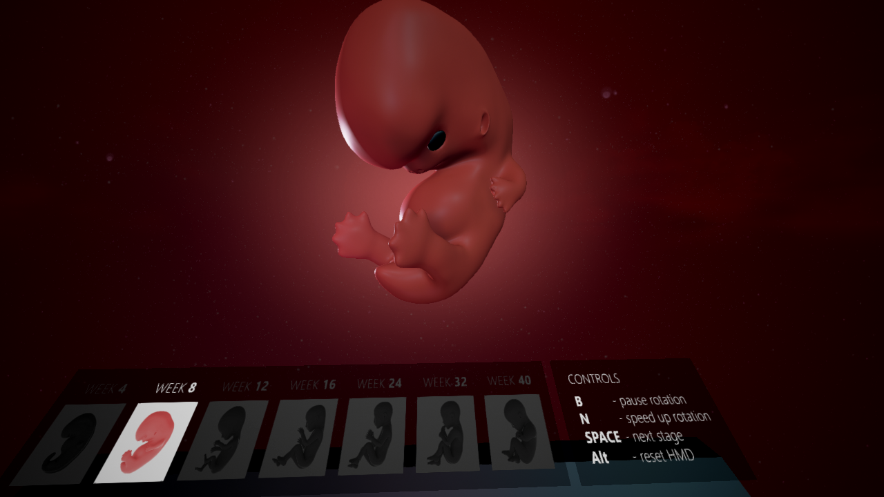 Virtual Reality, Fetal Development Explorer — Pixel Stag :: Digital ...
