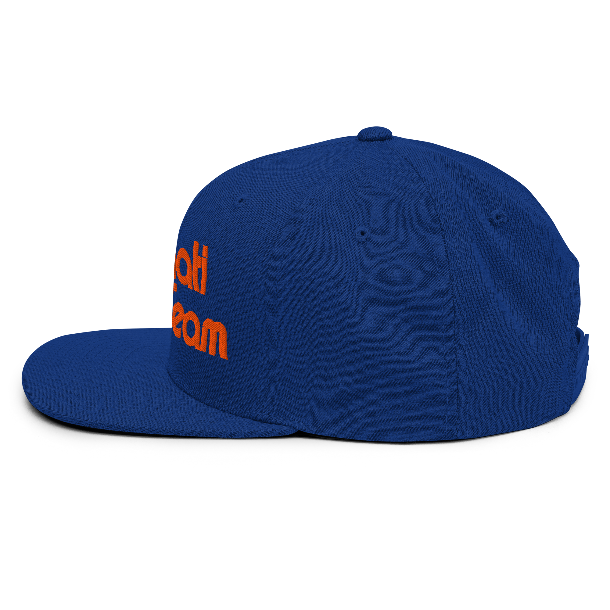 classic-snapback-royal-blue-left-side-69e844f293428.png