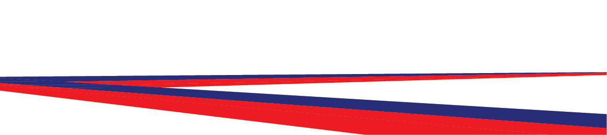 long horizontal divider.png