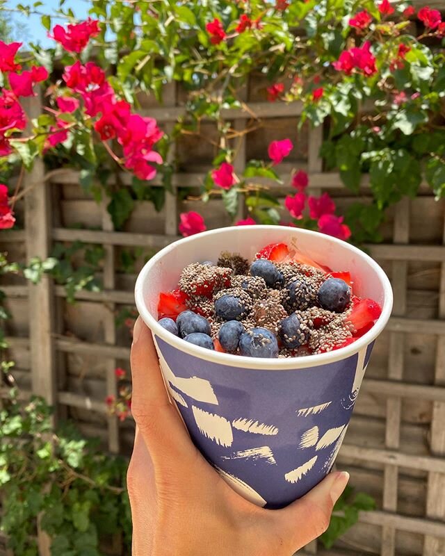 Sun shine, blue skies, and green bowls. 🥣🌱