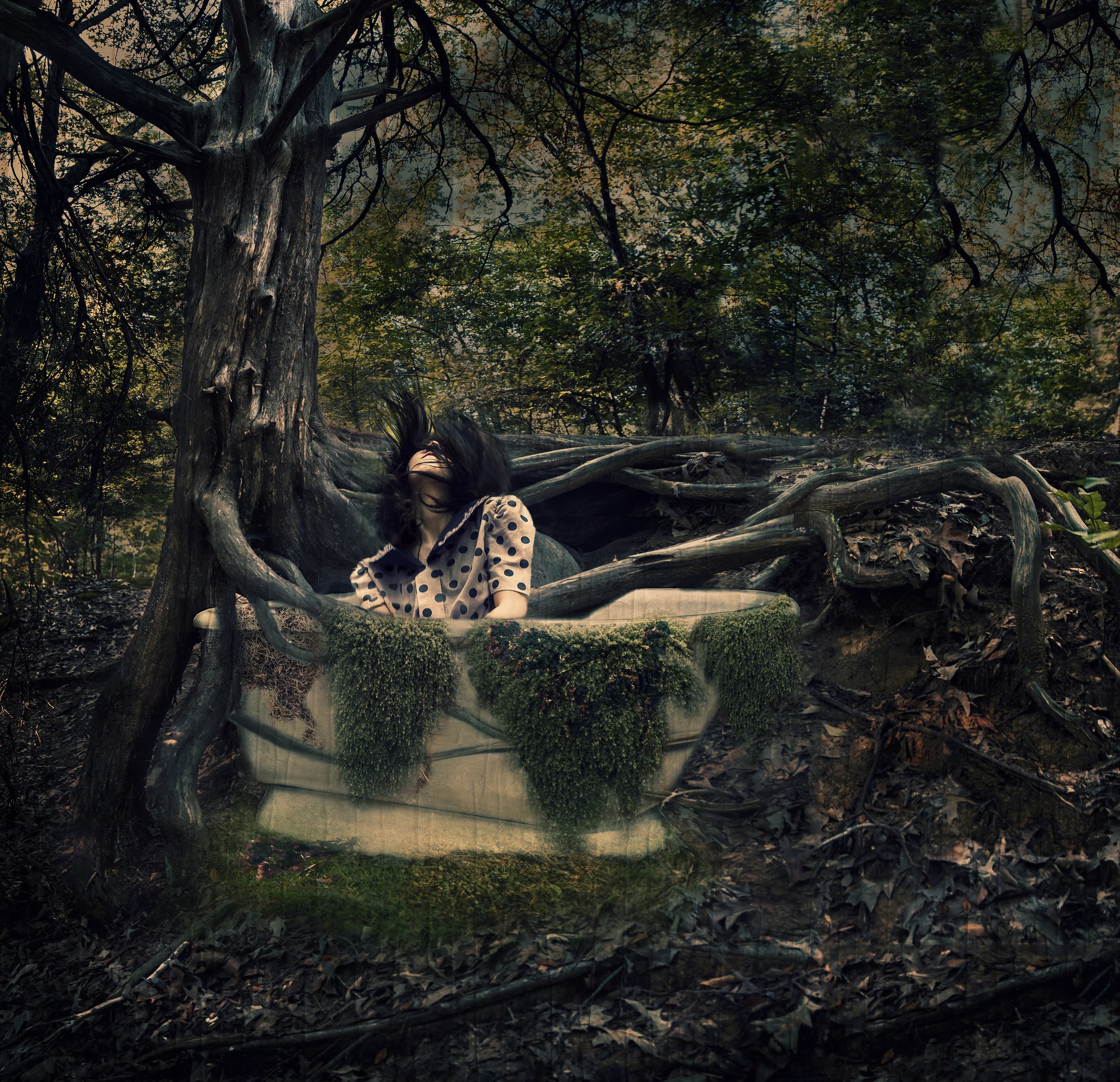 HS2_tree25_8darkerweb.jpg