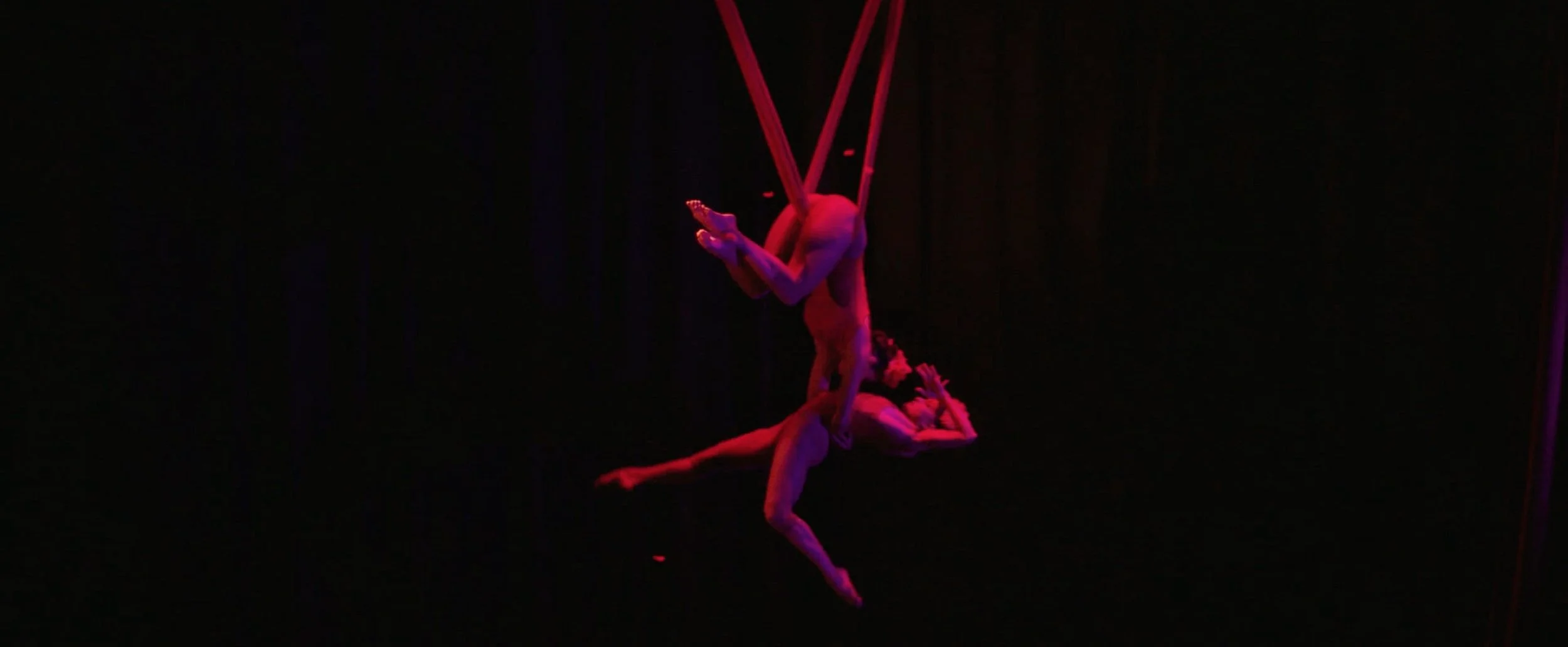 Screen Shot 2018-08-21 at 11.44.55 AM.jpg