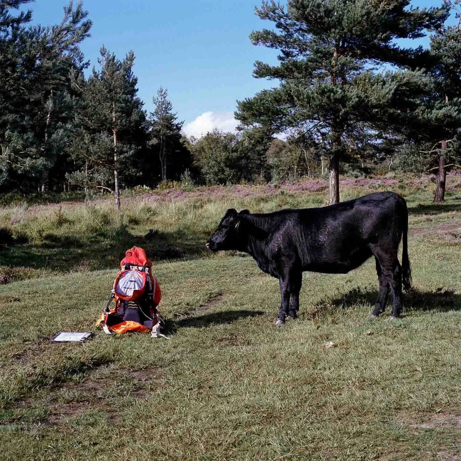 Long Walk Back-1.jpg