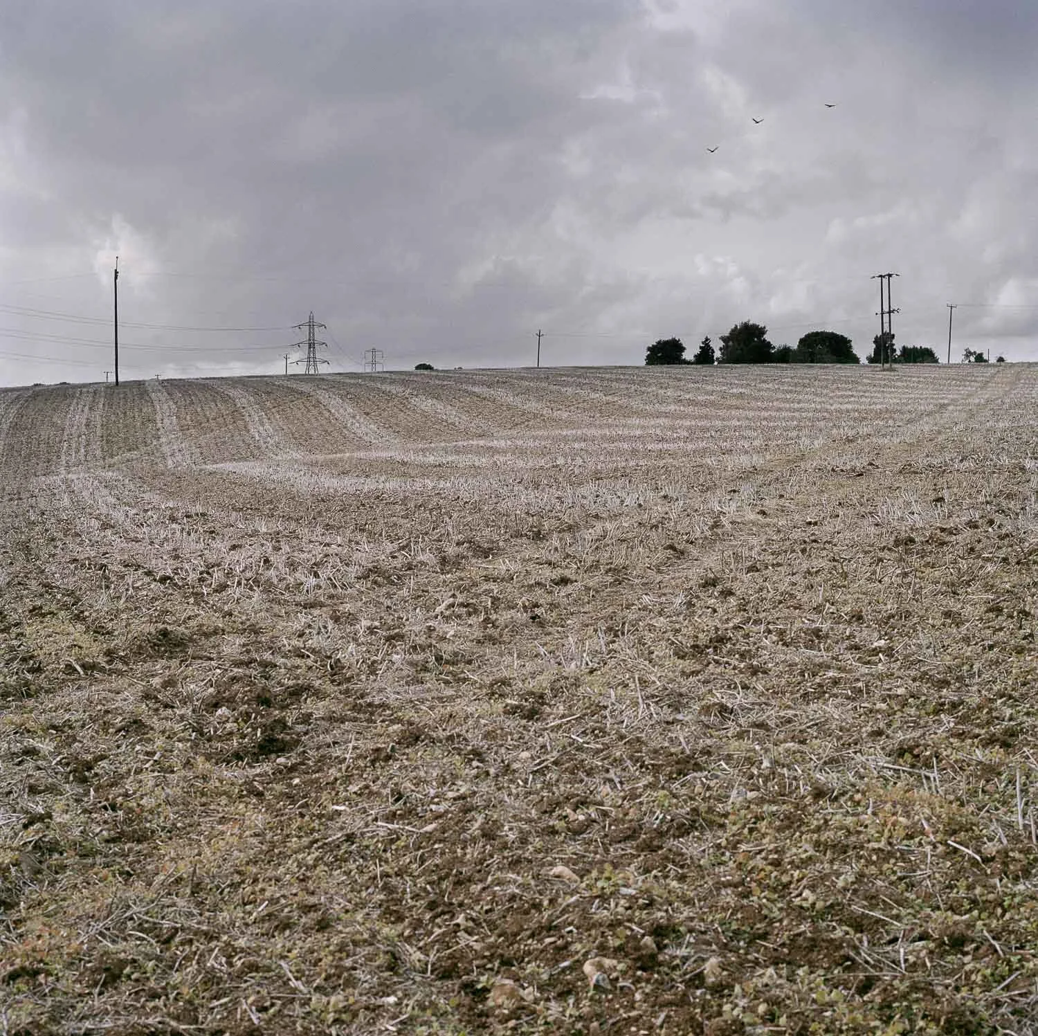 Long Walk Back-3.jpg