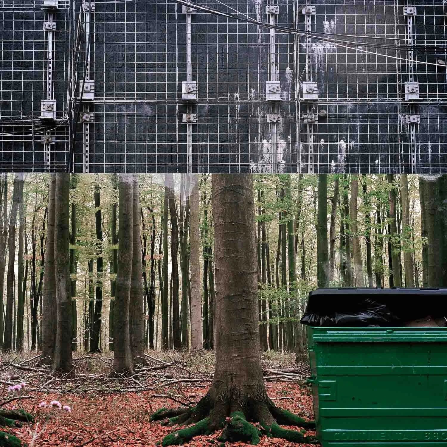 Long Walk Back-5.jpg