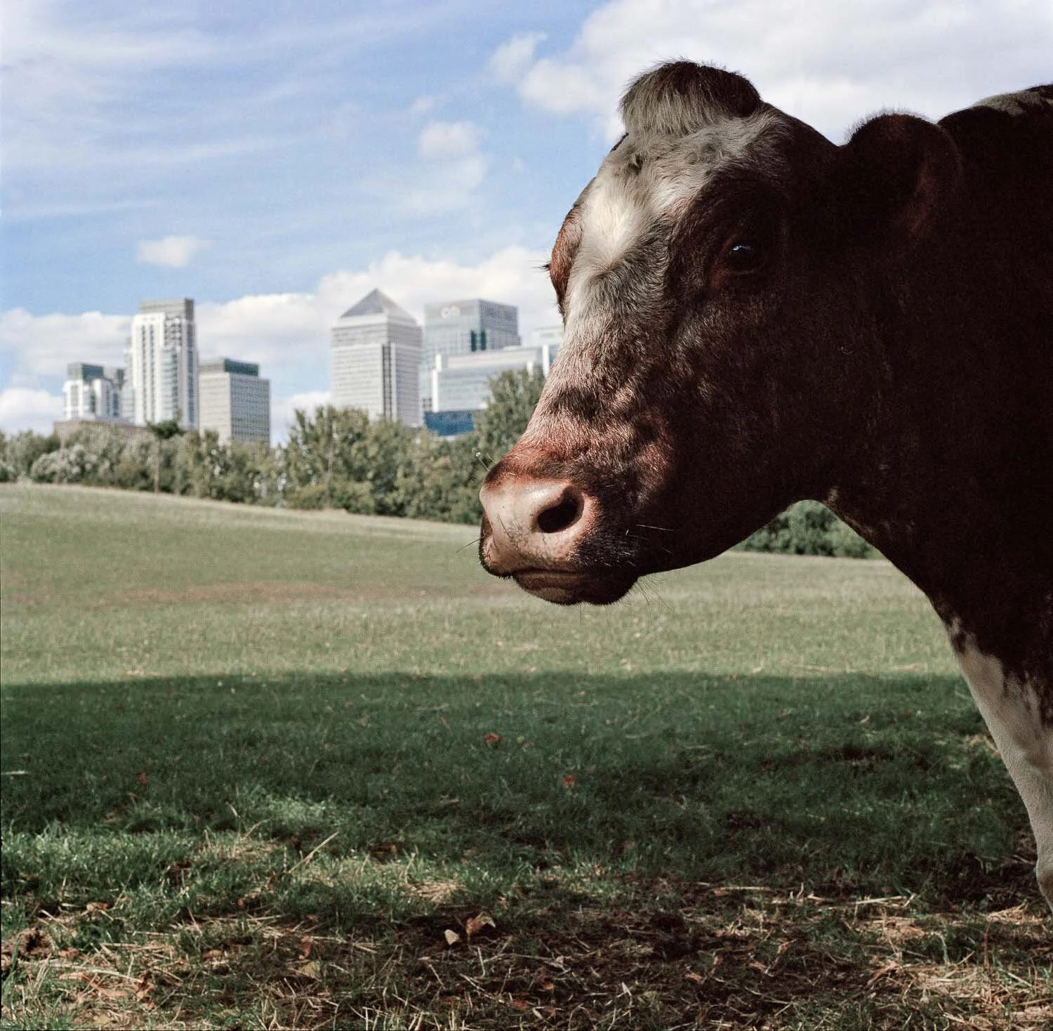 Long Walk Back-6.jpg