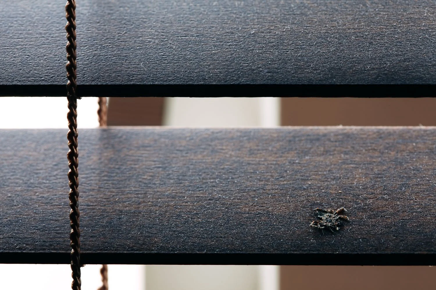 09-10-03 17_11_56 4294.jpg