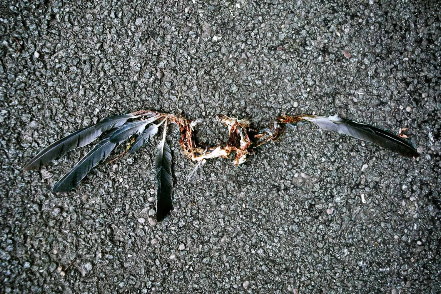 LWB 071 011 flat.jpg