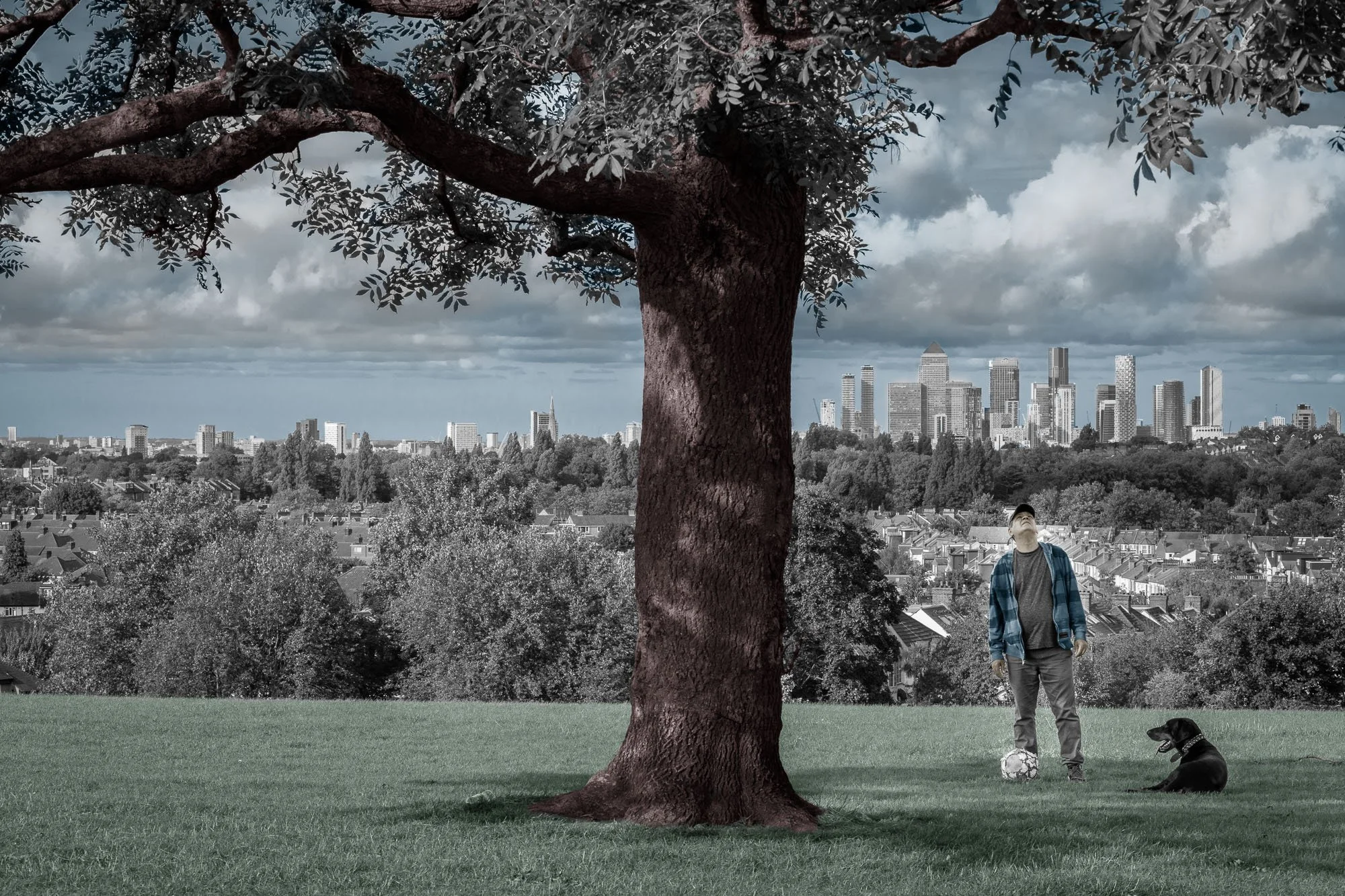 No. 33 - Mishima Pass in Kai Province / Blythe Hill Fields in the Borough of Lewisham