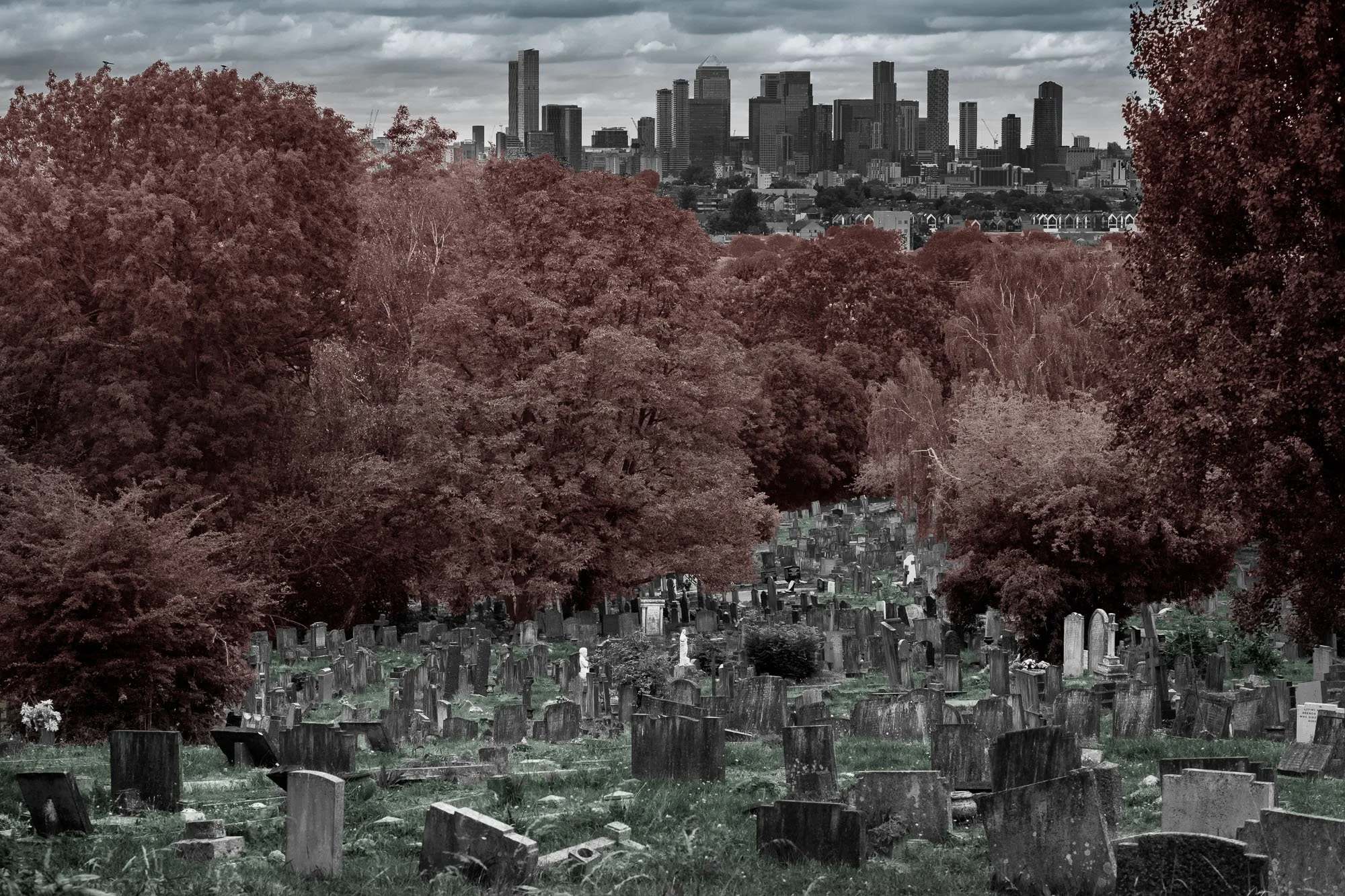 no. 25 fuji reflects in lake kawaguchi / canary wharf reflects in camberwell old cemetery