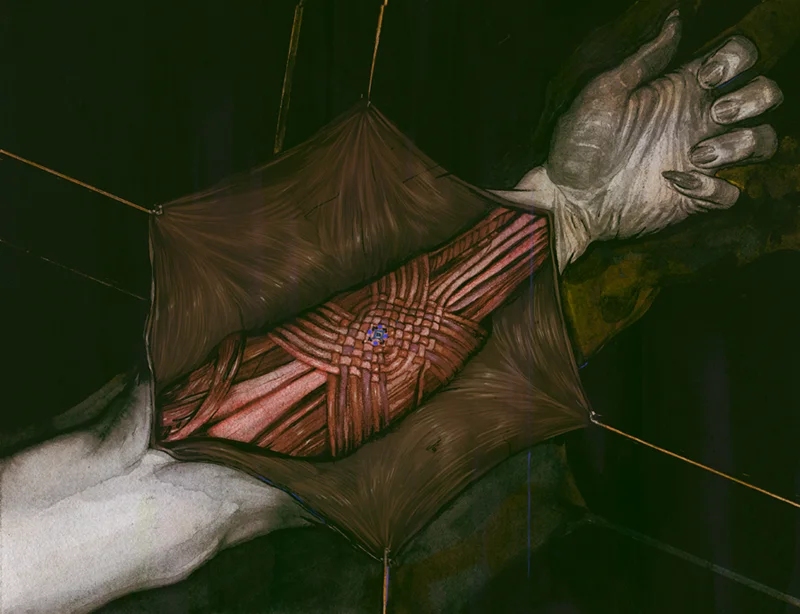forearm_web_800px.jpg