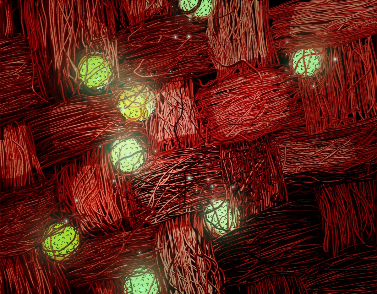 pollenpi-p4-2-1200w.jpg