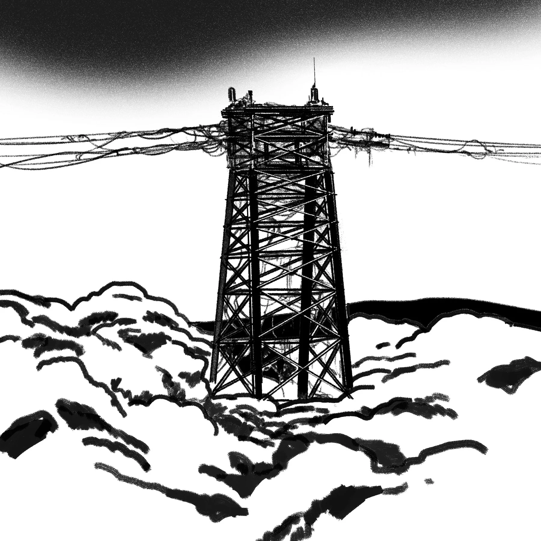 pair10a.jpg