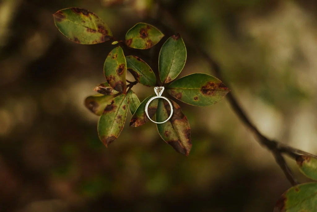 alabama-foggy-sunrise-engagement-session_43.jpg