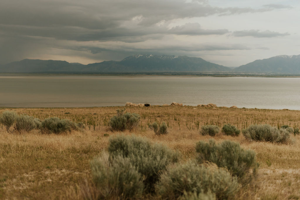 antelope_island_elopement_2.jpg