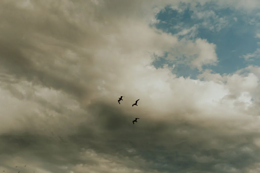antelope_island_elopement_40.jpg