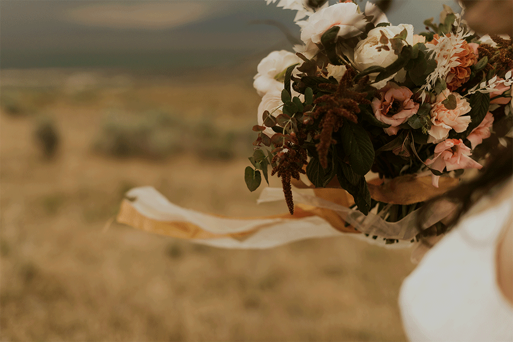antelope_island_elopement_1a.gif