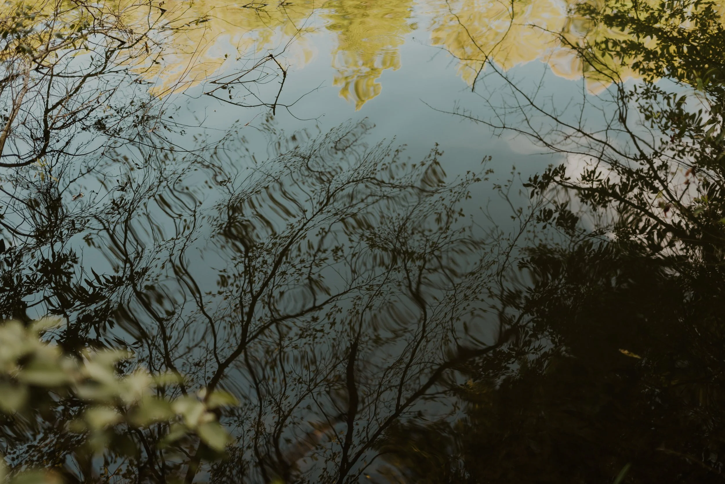 A New Year's Resolution for Photographers