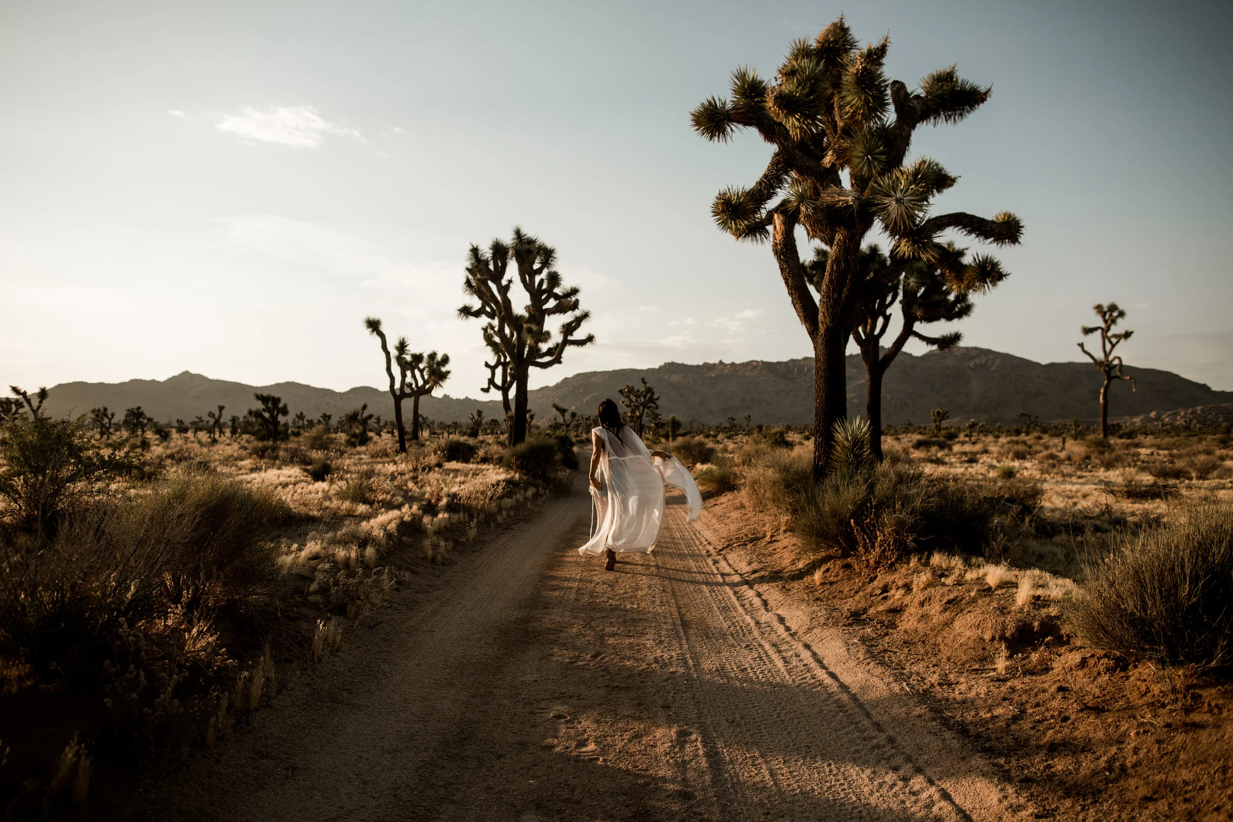 JoshuaTreeGinaandMichaelbyLillyRedCreative-113.jpg