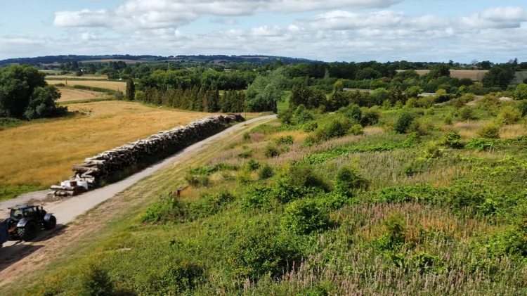 Sustainably managed Shropshire woodland with stacks of firewood