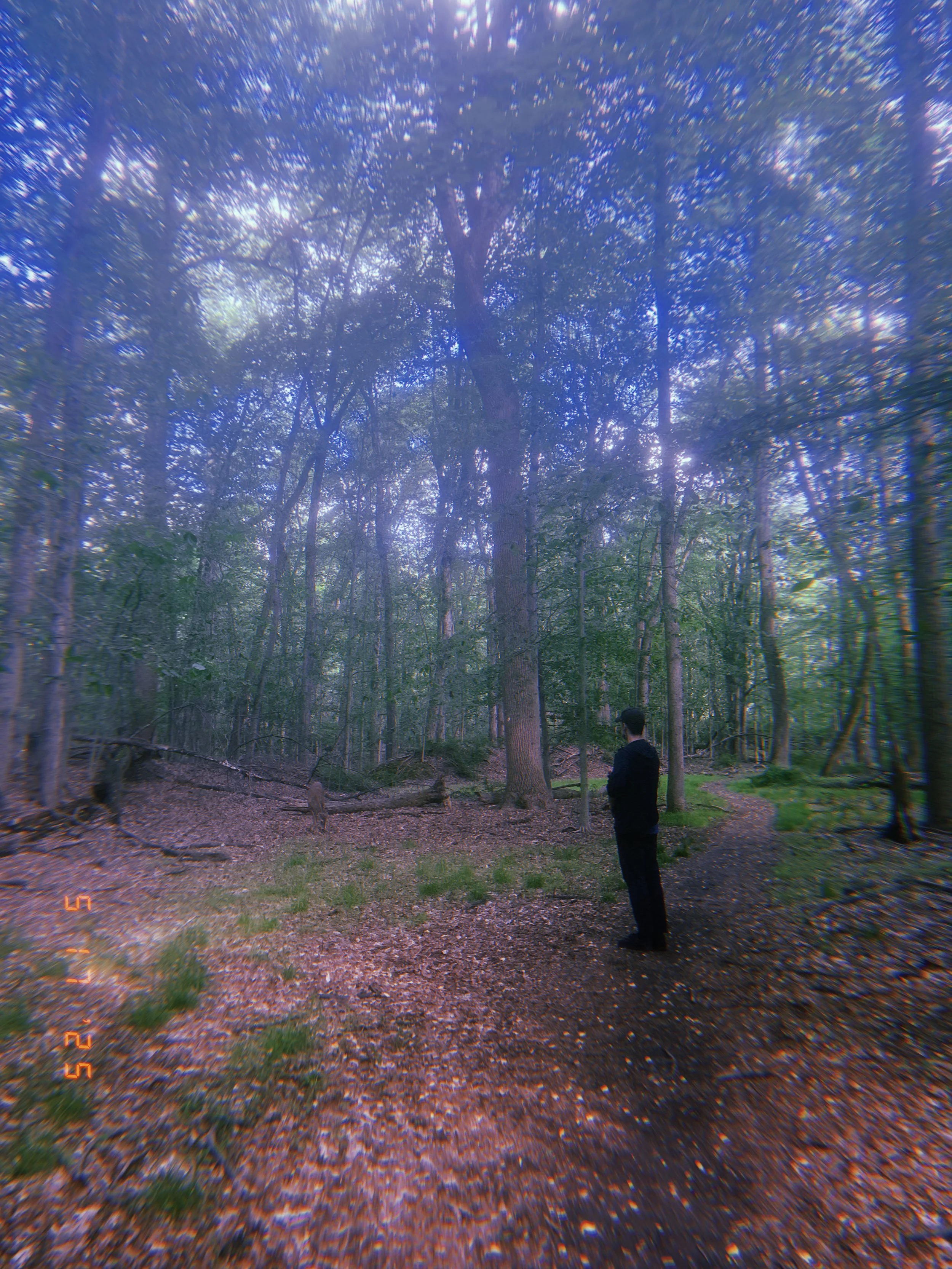 2025-05-17 17:15:30.148.JPG