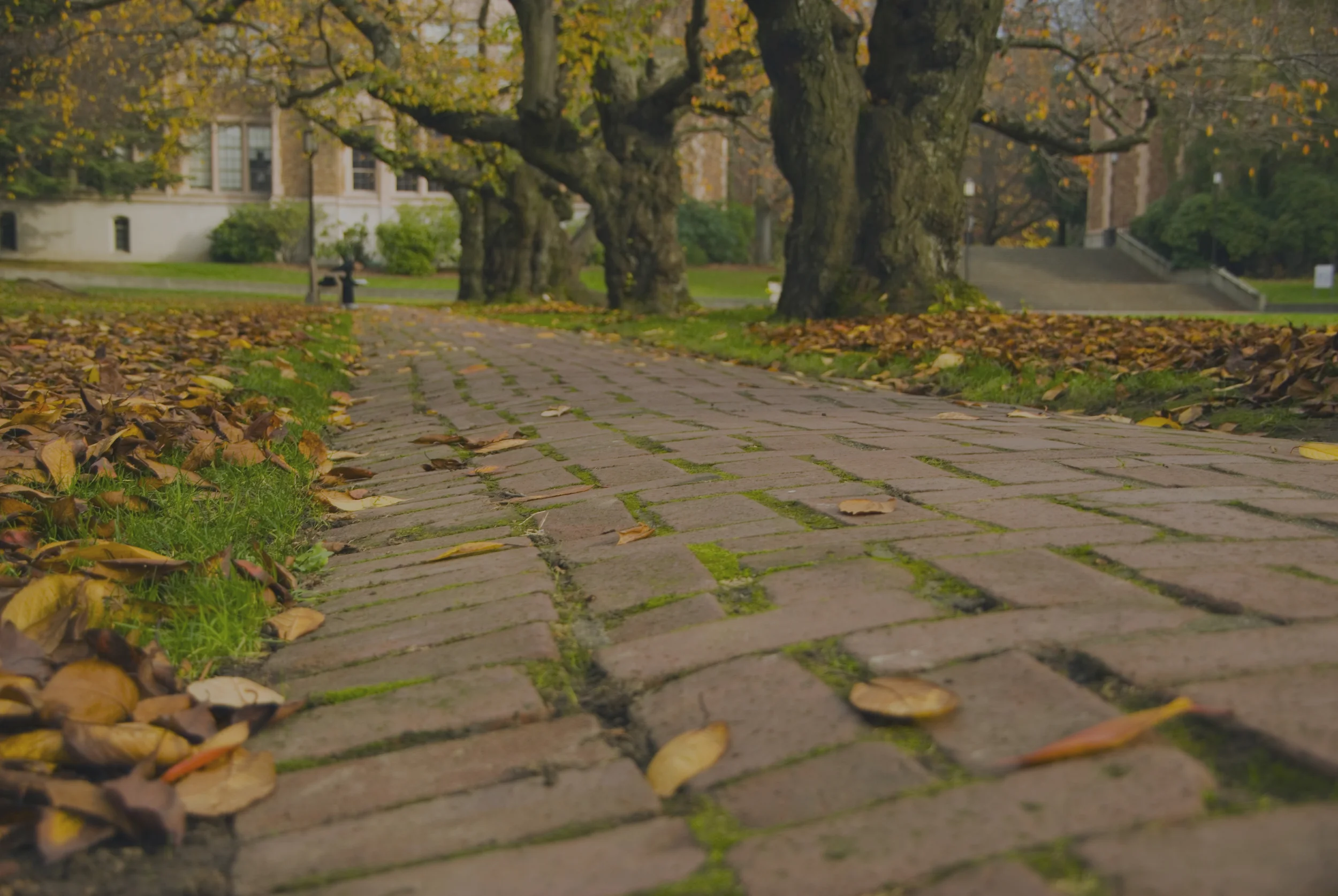 The benefits of attending a highly selective college