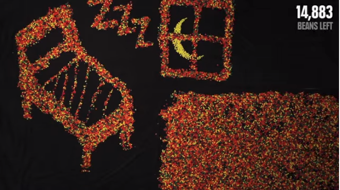 Your Life = 28,835 Days