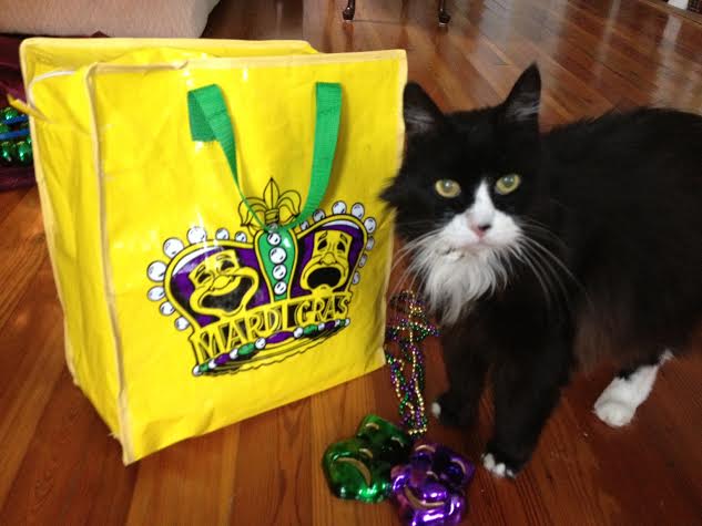 Barty Gras - Bartleby's 15 Min of Fame on WWL-TV! 