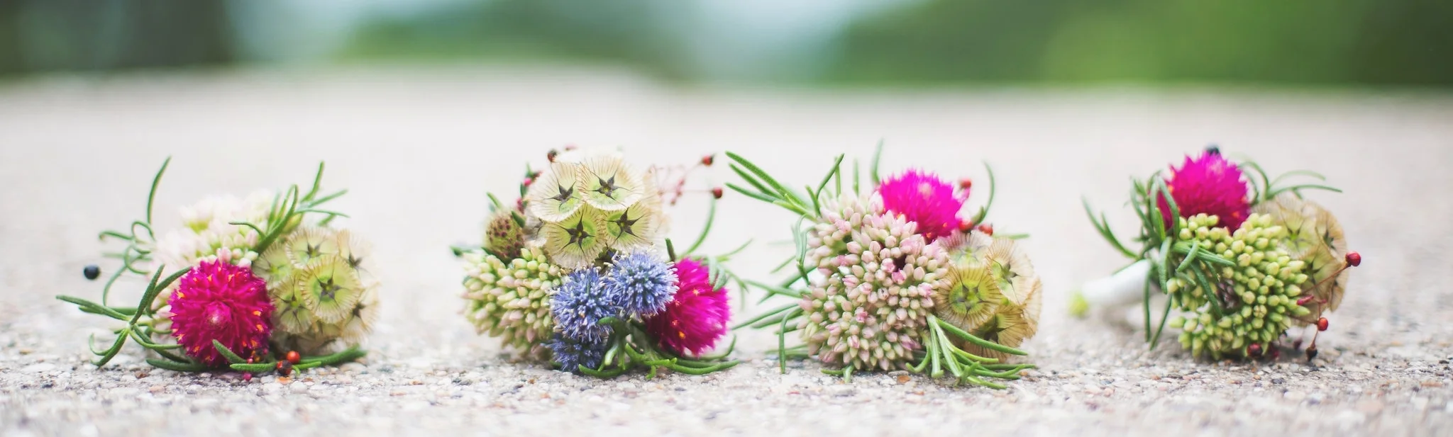 dana dufek photography