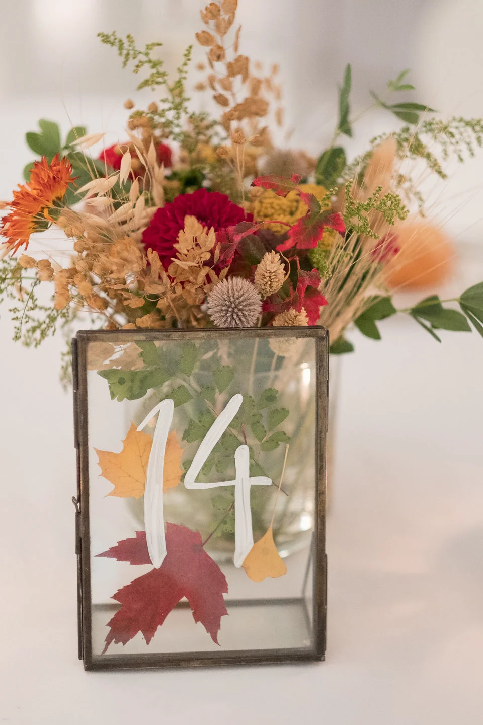 HeatherCookElliottPhotography-230.jpg