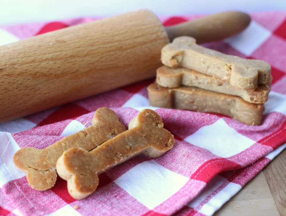 DogTreats1
