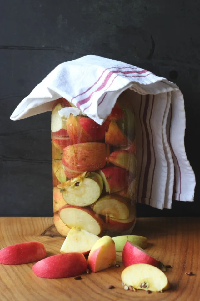 AppleCiderVinegar1