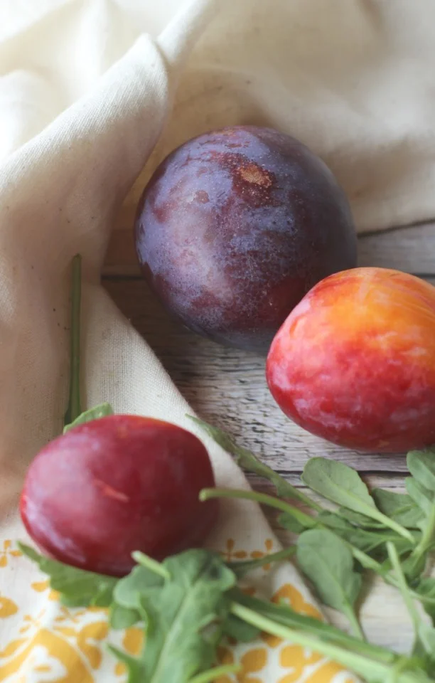 BurrataAndPlumSalad3