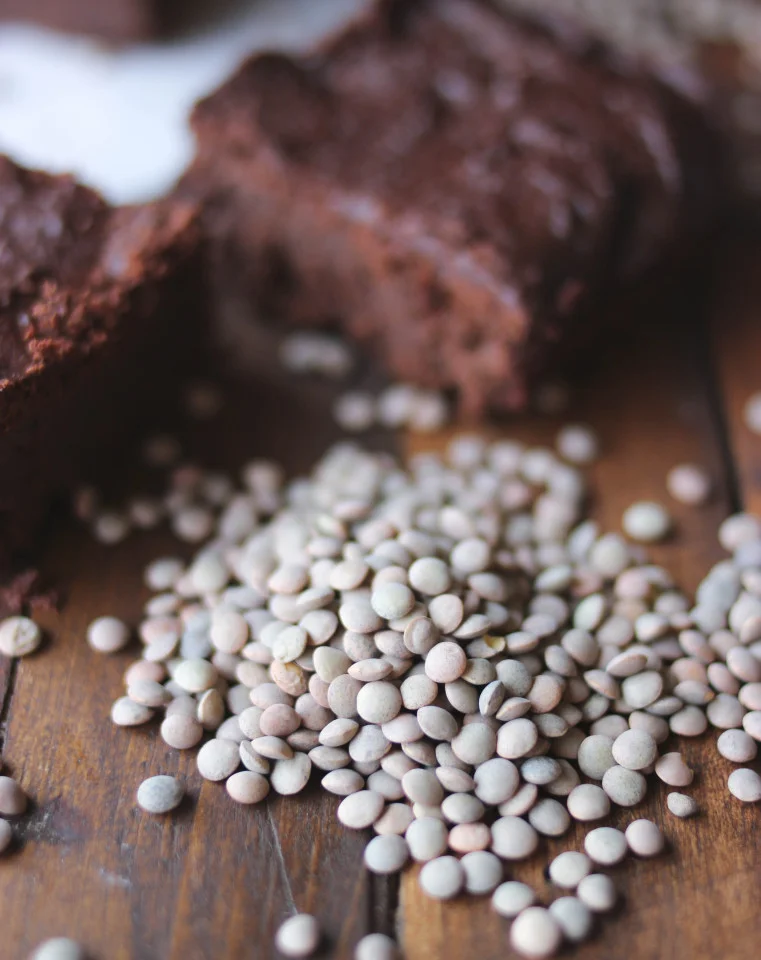 LentilBrownies2