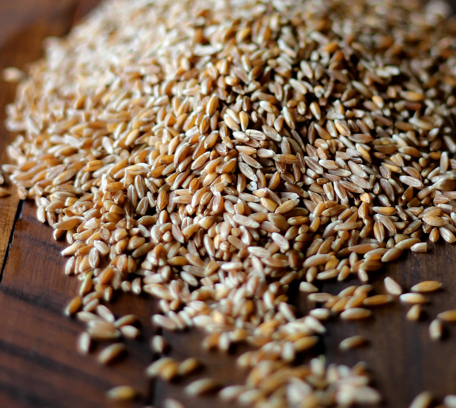 BulkShopping bulk is one of the easiest ways you can eat healthy on a budget, and our Bulk department makes this easy with a wide variety of high quality staples. We stock local and organic products, and have dozens of great recipes on hand that you…