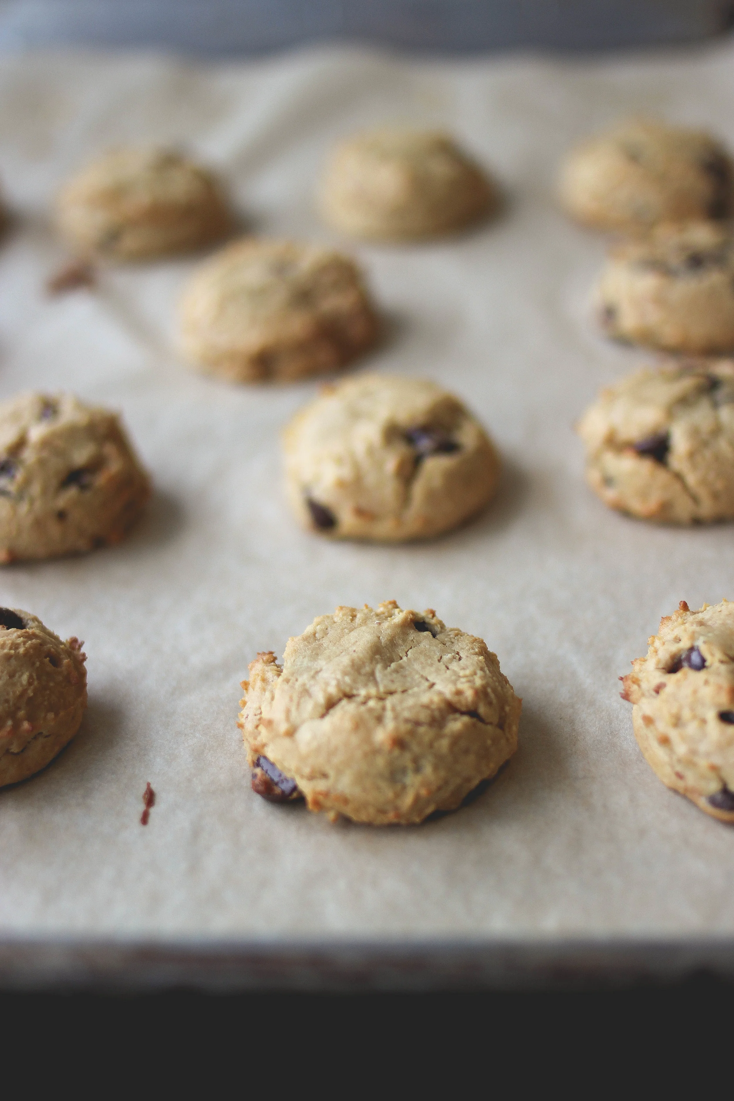 ChickPeanut Butter Chocolate Chip Cookies