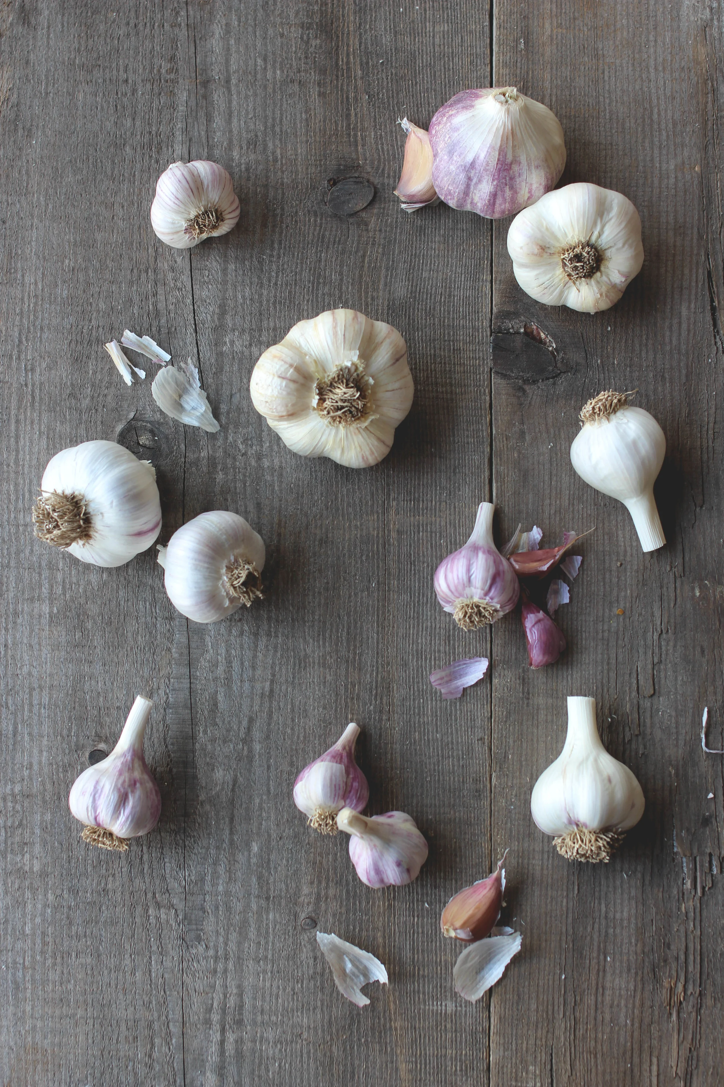Garlic Guide