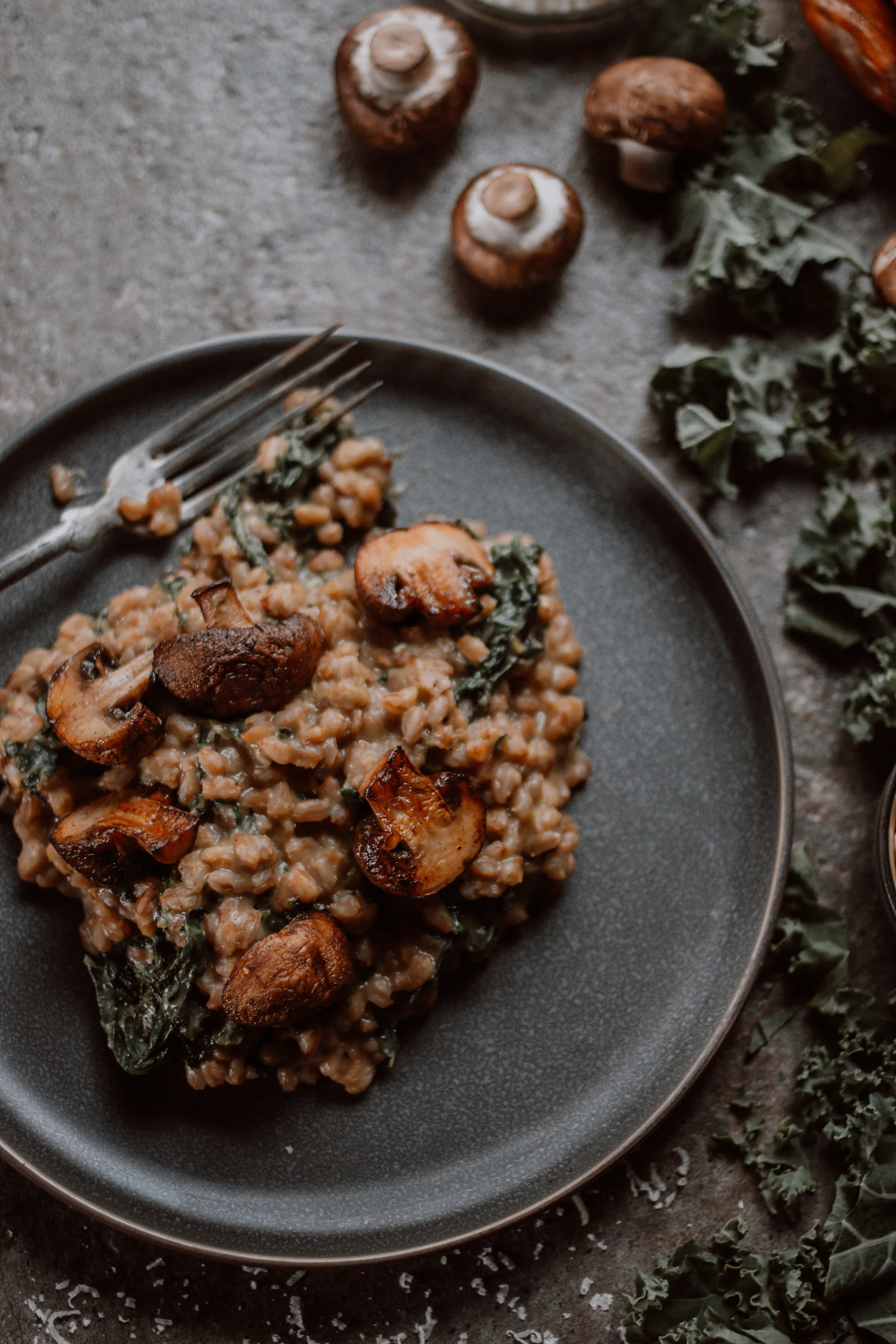 FallRootedFood-1-17.jpg