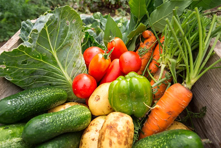 Get_Healthy_and_Save_Money_by_Food_Gardening_0.jpg