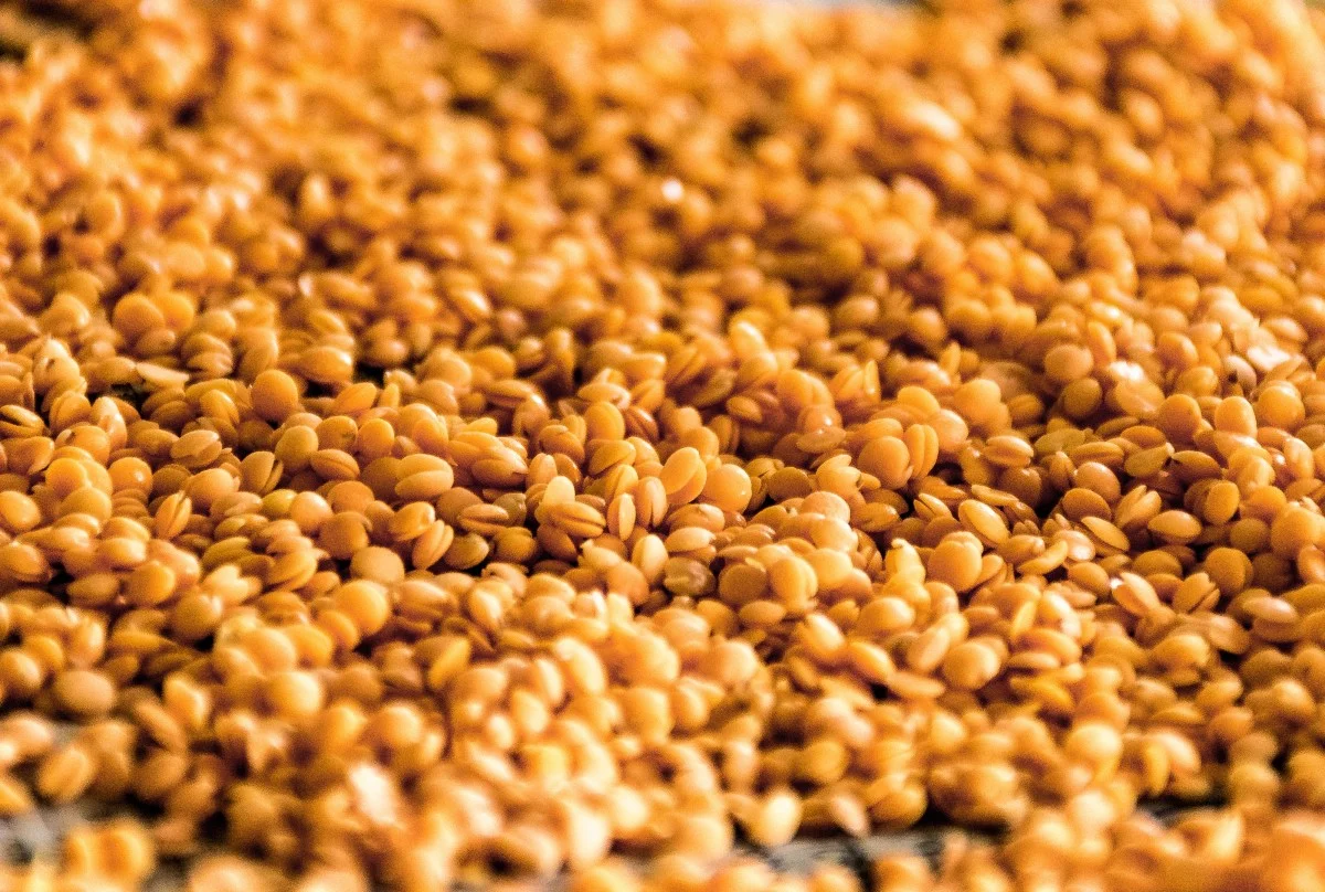 Whole Grains.jpg