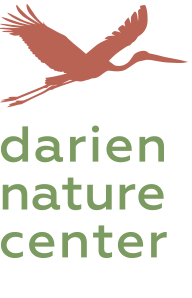 darien-nature-center-logo_2x.png