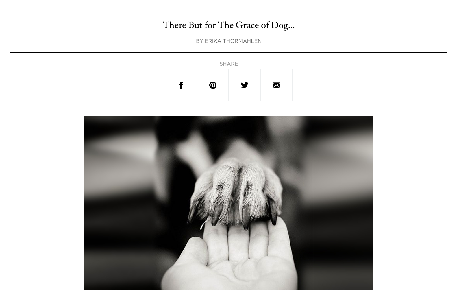 Screen Shot 2019-04-28 at 1.58.29 PM.png